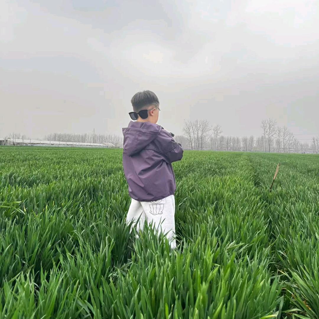 有何不可