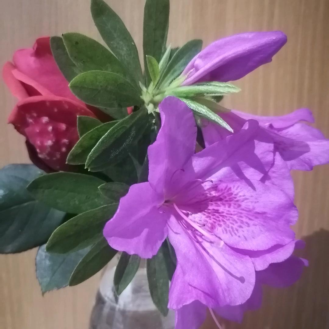 为了生活向前冲