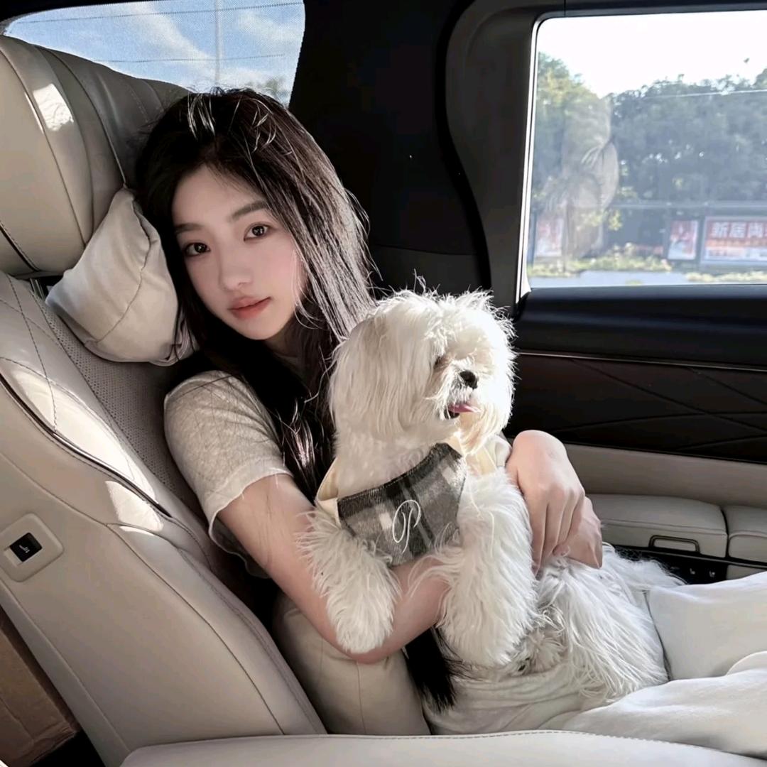 大康到家不二辰