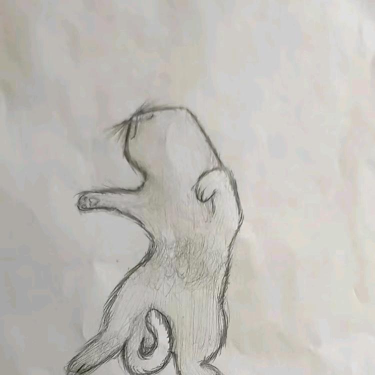 嘎嘎嘎