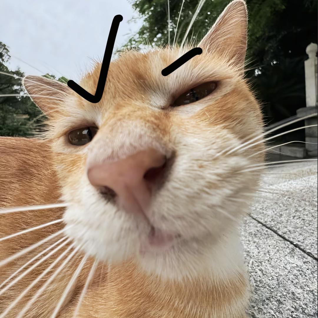 有你是我的暖冬