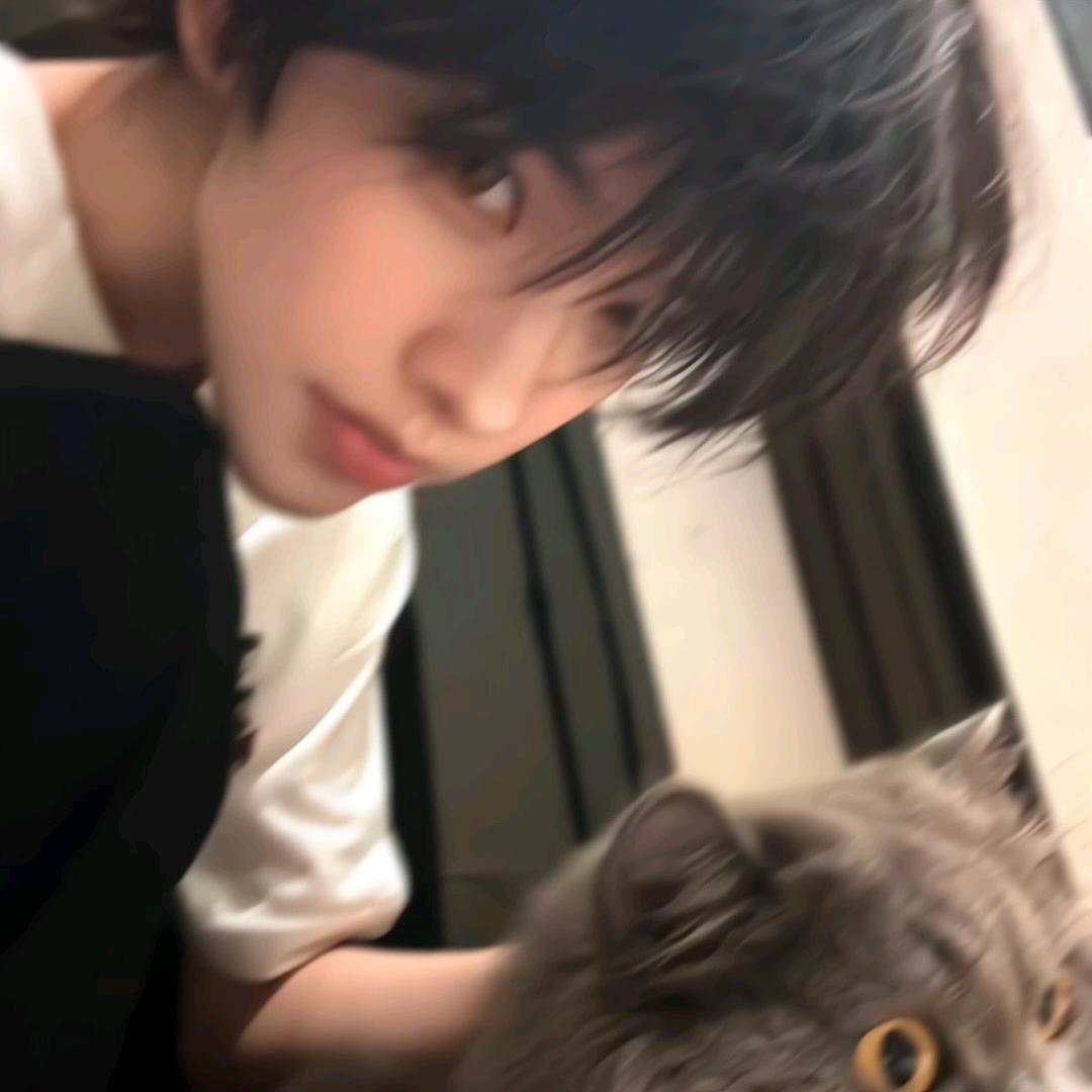 向晚晚晚