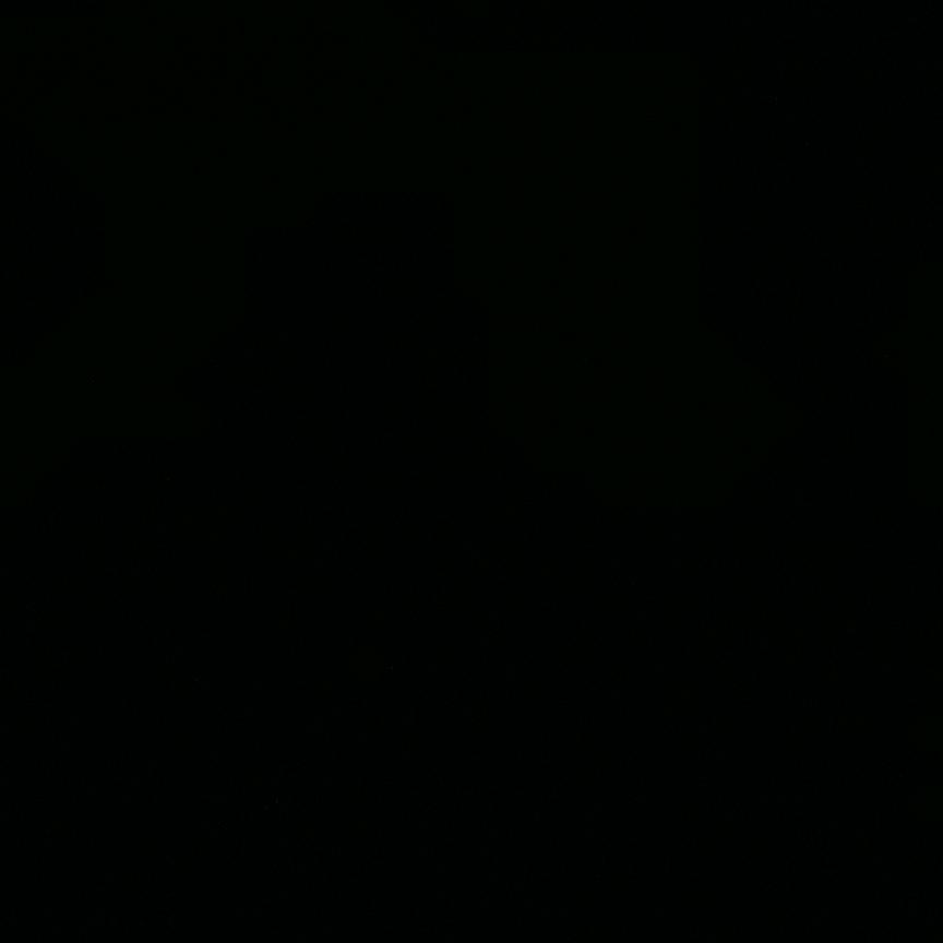 渭塘单县羊肉汤