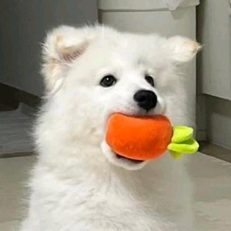 再睡亿分钟