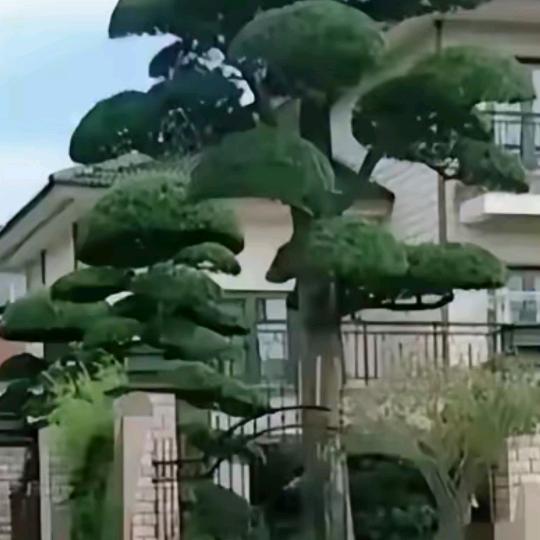 一生平安
