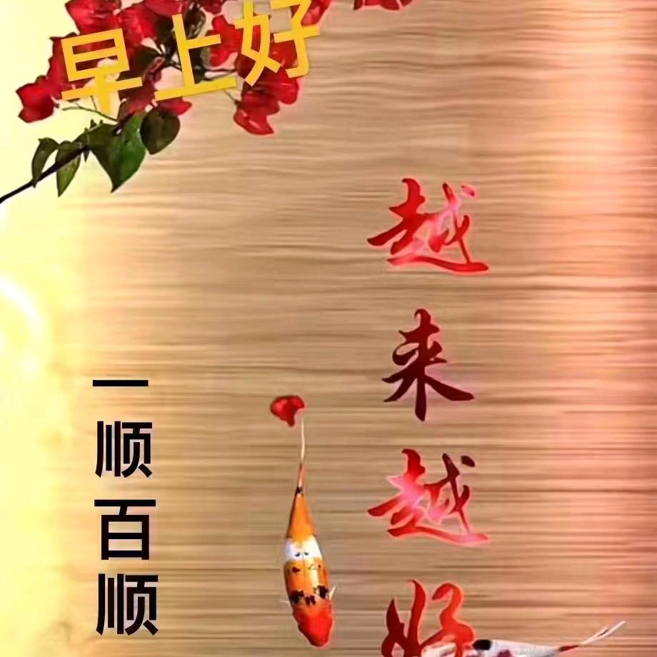 @越来越好419