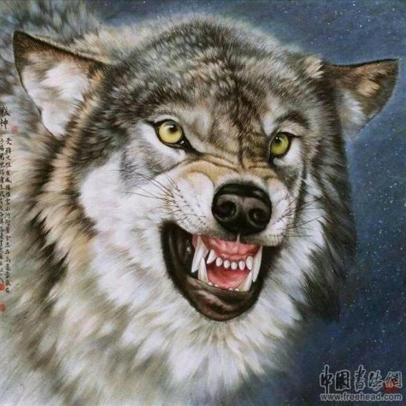 二哈😡你的心呢💔🖤💔