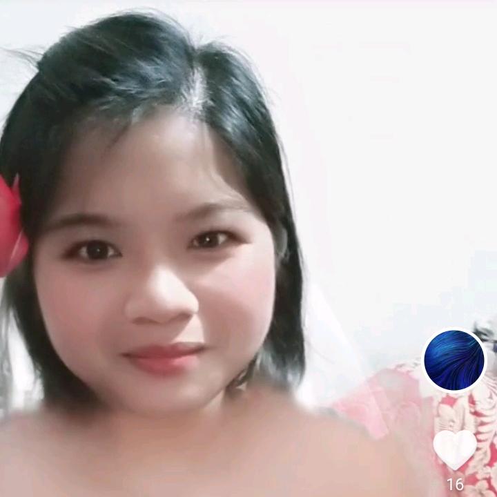 芬