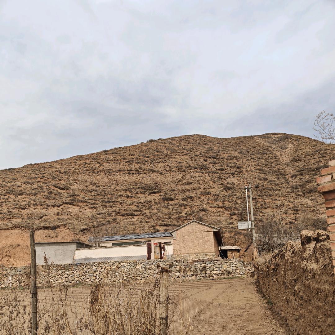 枕边人🌺❤️❤️❤️❤️❤️