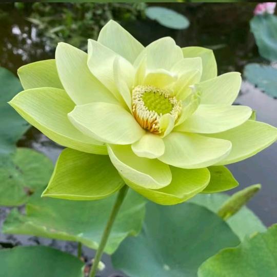 青春最珍贵