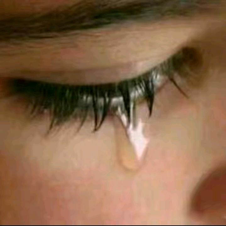 小小棉洋梅宝宝