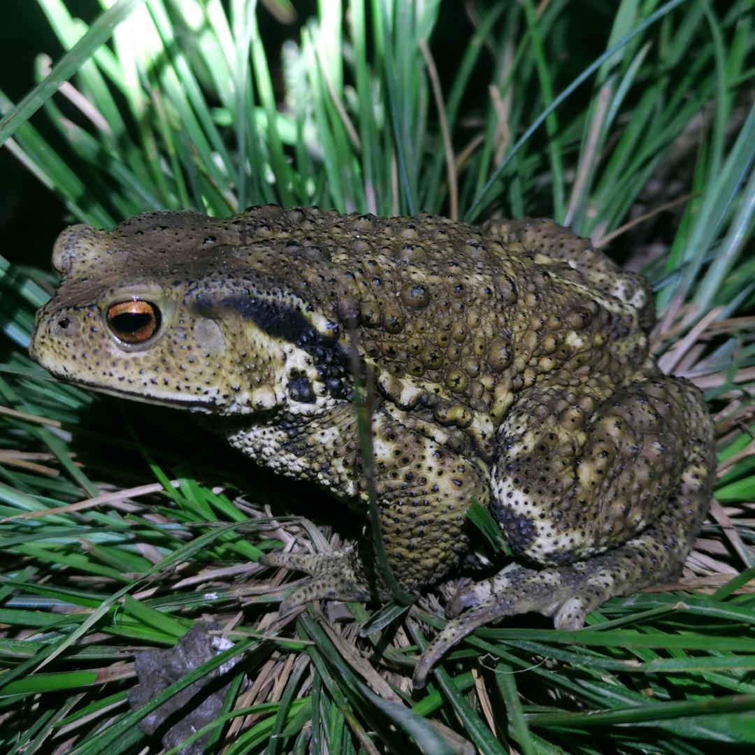 嵊州市 浦口眼镜哥