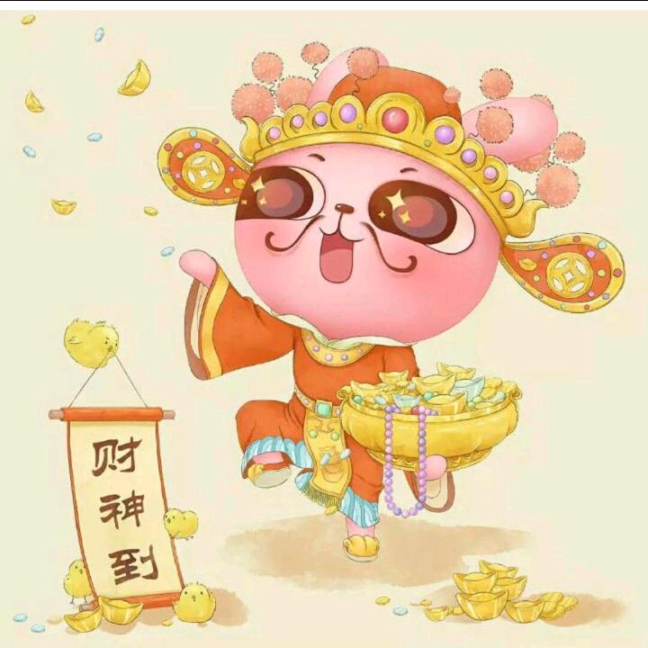 苦丁茶