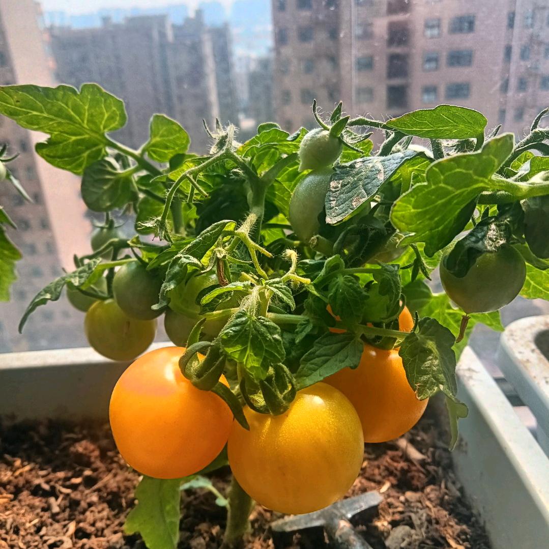 安(ღ˘⌣˘ღ)静