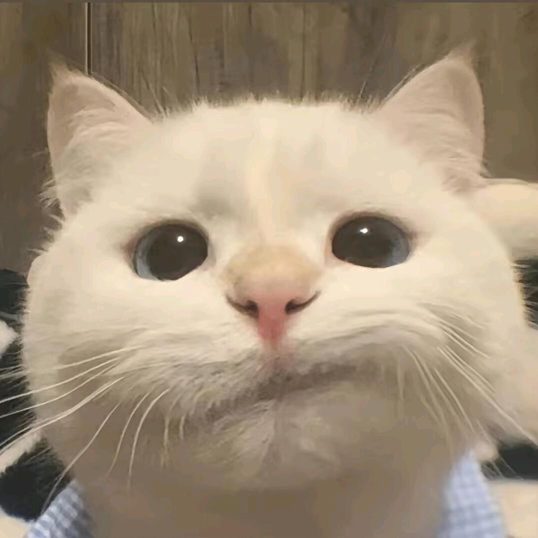 @瑞雪兆丰年