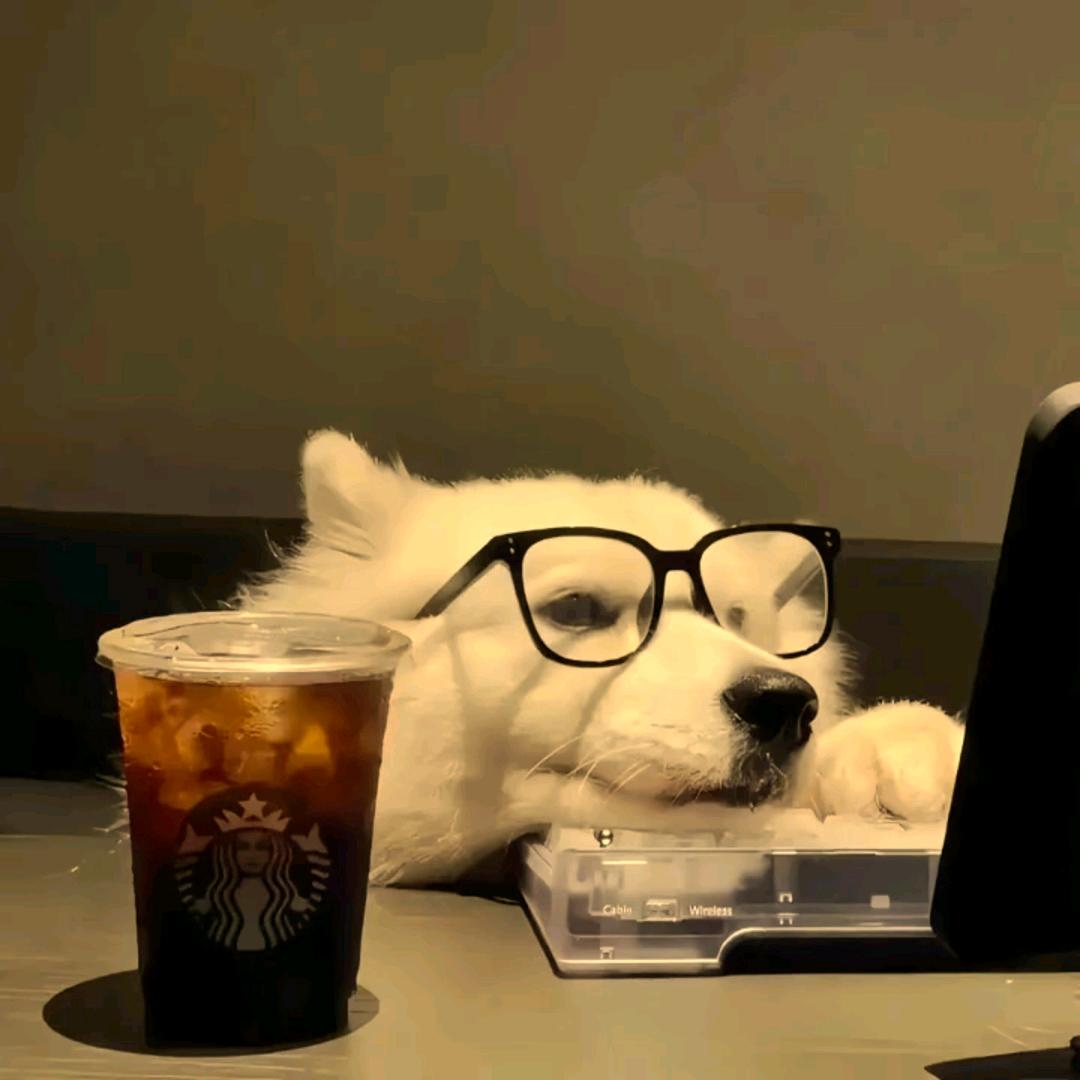 新农大马天成学长