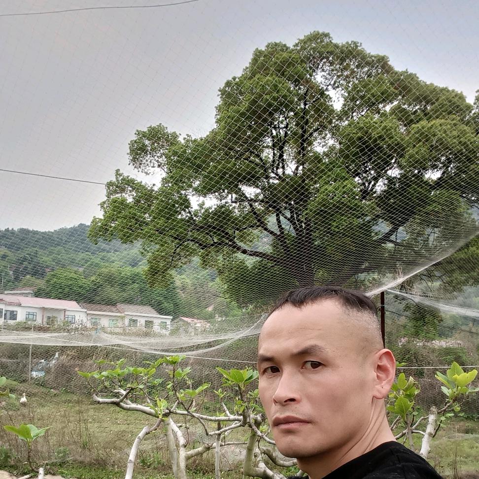 醴陵市铺上家庭农场