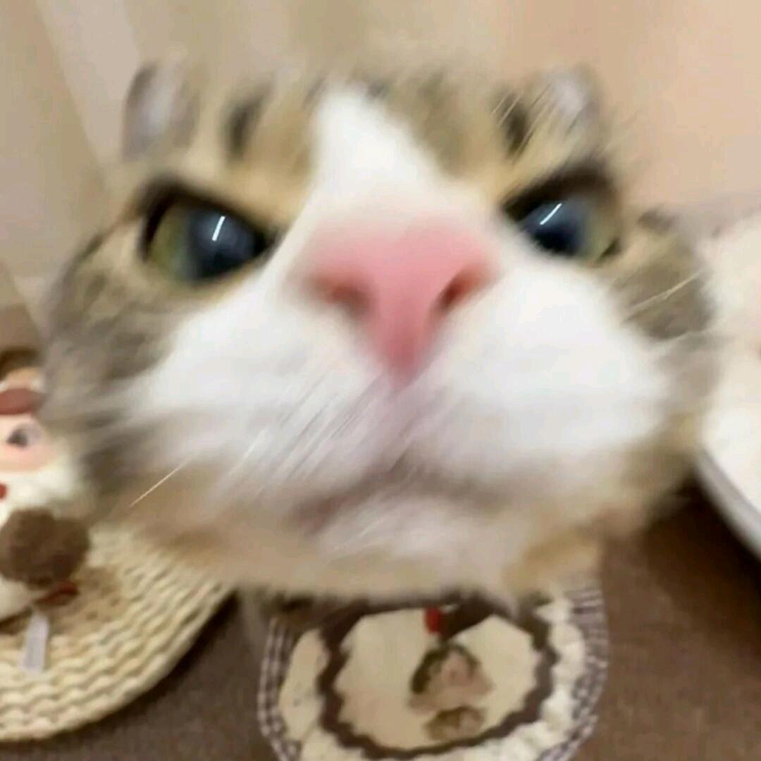 在 ￴ ￴ ￴￴ ￴￴ ￴￴ ￴