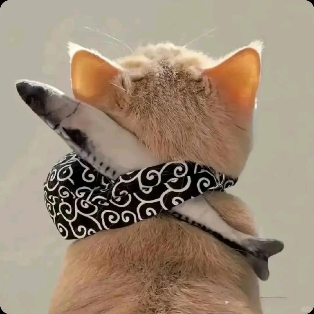 叶困困（和平小菜鸡）