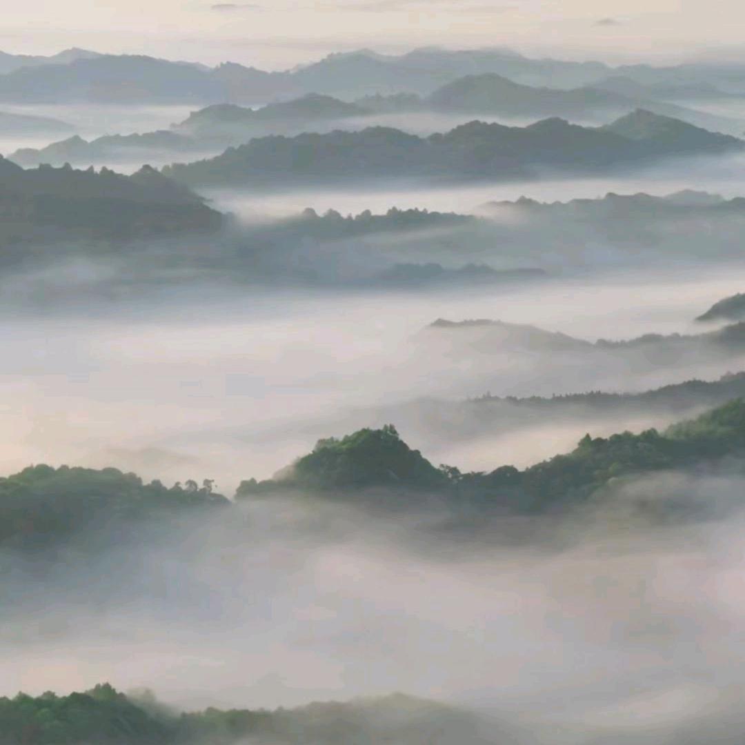 用户863472956357595