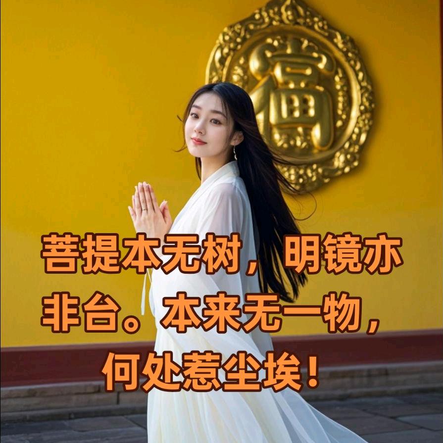 青柠微凉渐离别