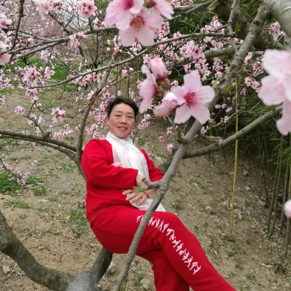 梦梦(晚上7点10分)开直播