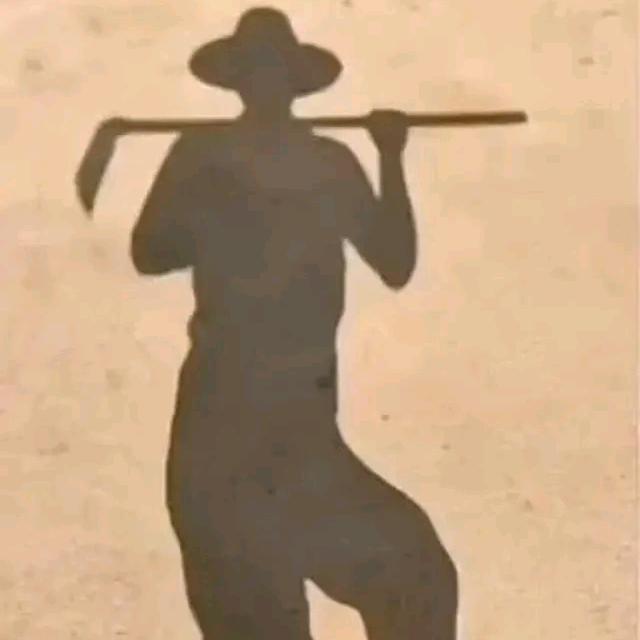 瓦西里耶夫•飞
