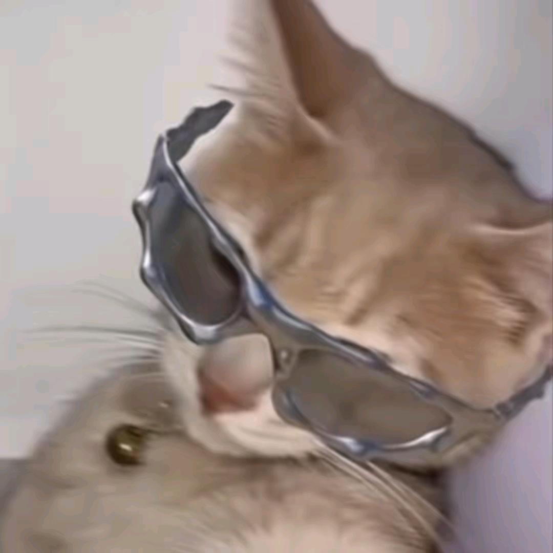 容易掉眼泪也是你的可爱之处