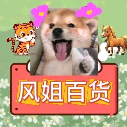 风姐百货