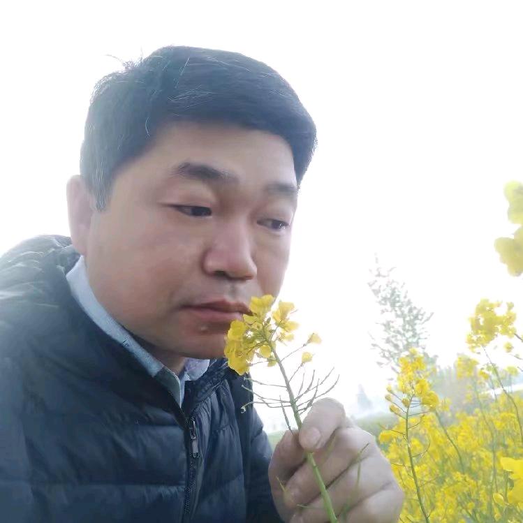 社哥