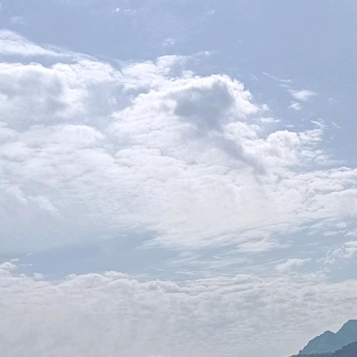 →失呿♀青春