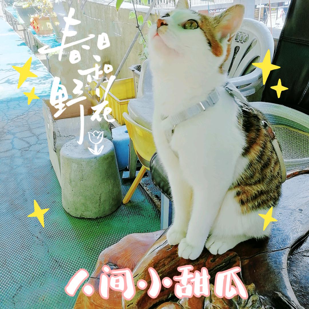 blow（不漏）∠( ᐛ 」∠)_