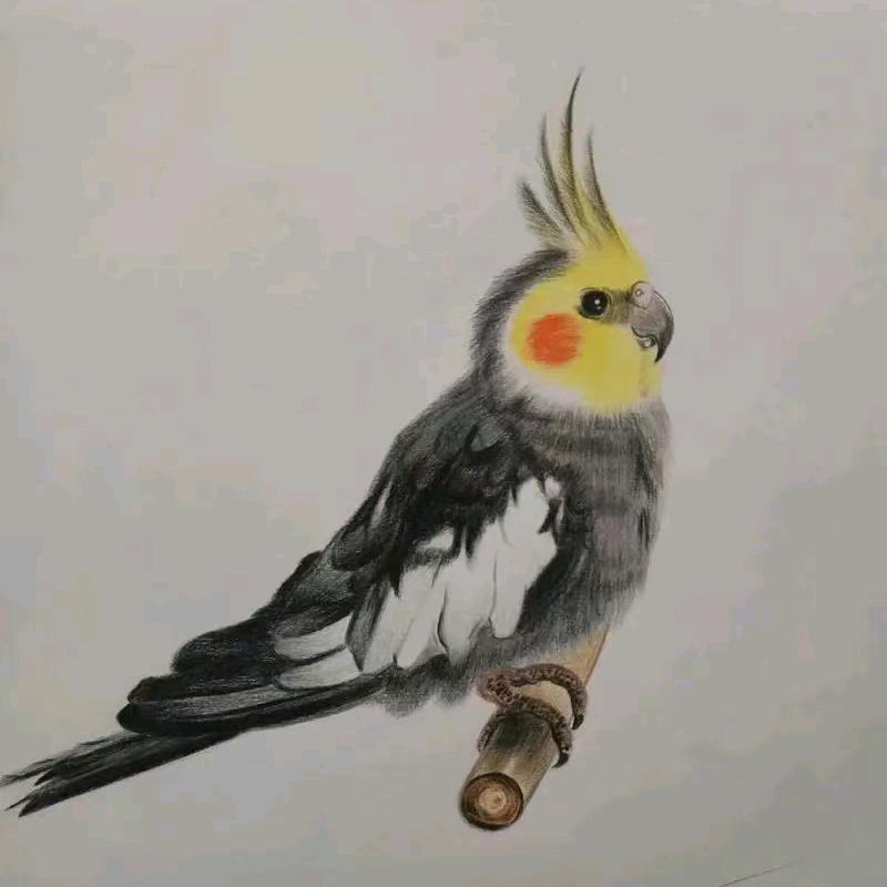 福灰爱学习