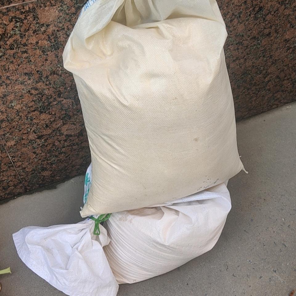 玉米