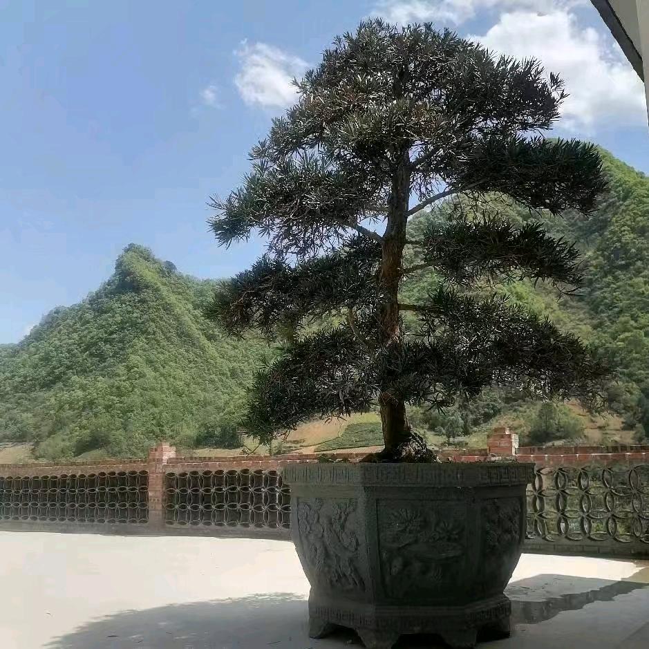 爱！是种责任