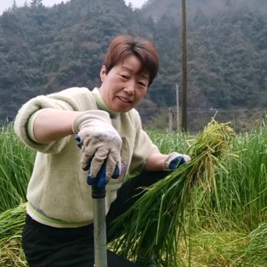 翠姐晚上21.10开播