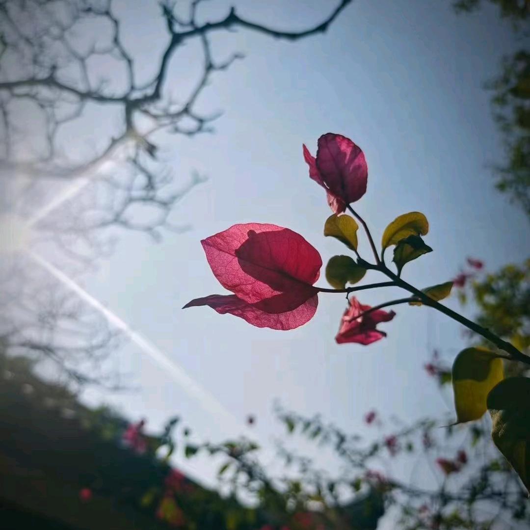 lily-丽丽 💕