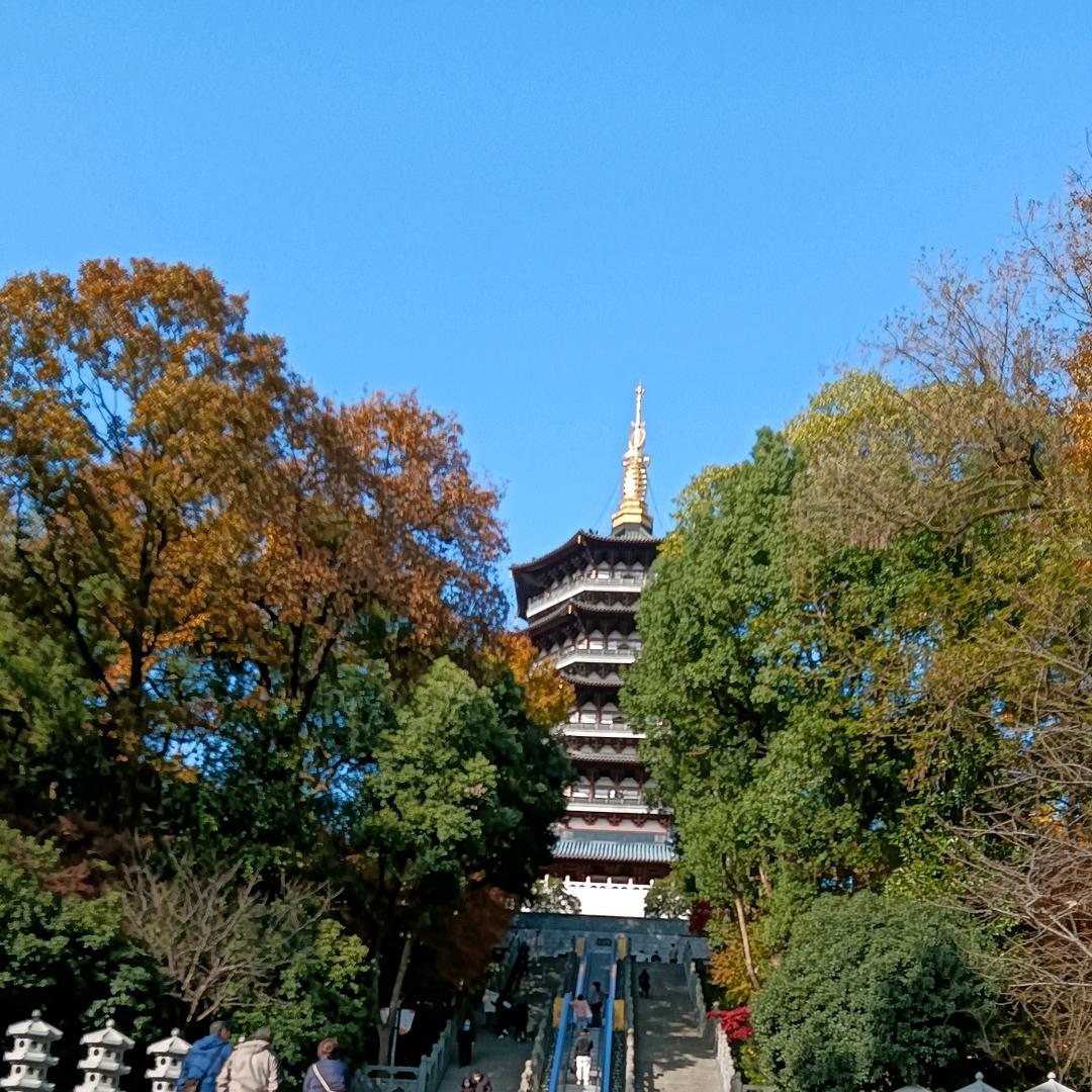 缘自偶然