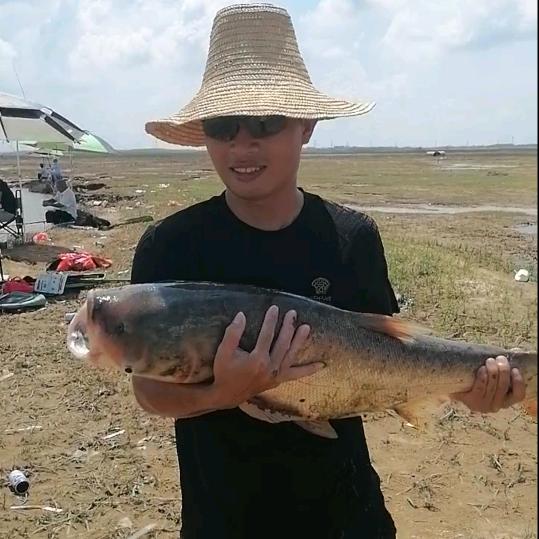 杨哥户外（生活号）