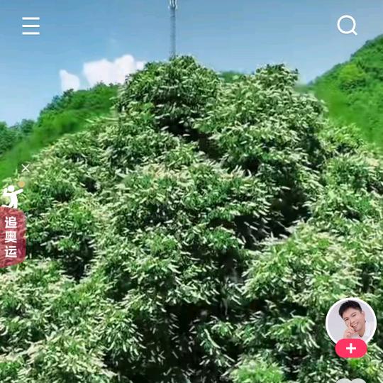 绿色饲料，科学养殖