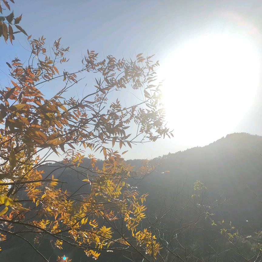 这片星空，只有流星划过！