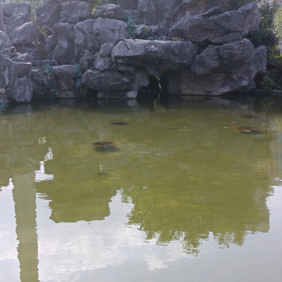 山溪九道湾