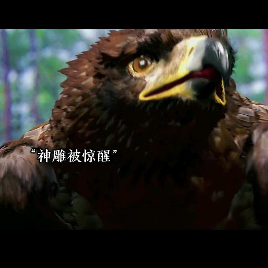 小王野
