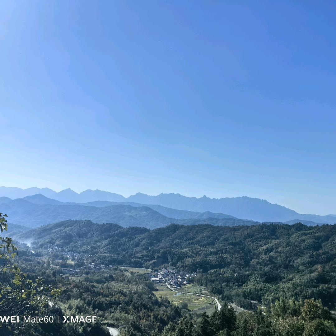 鱼老哇直播户外逮鱼