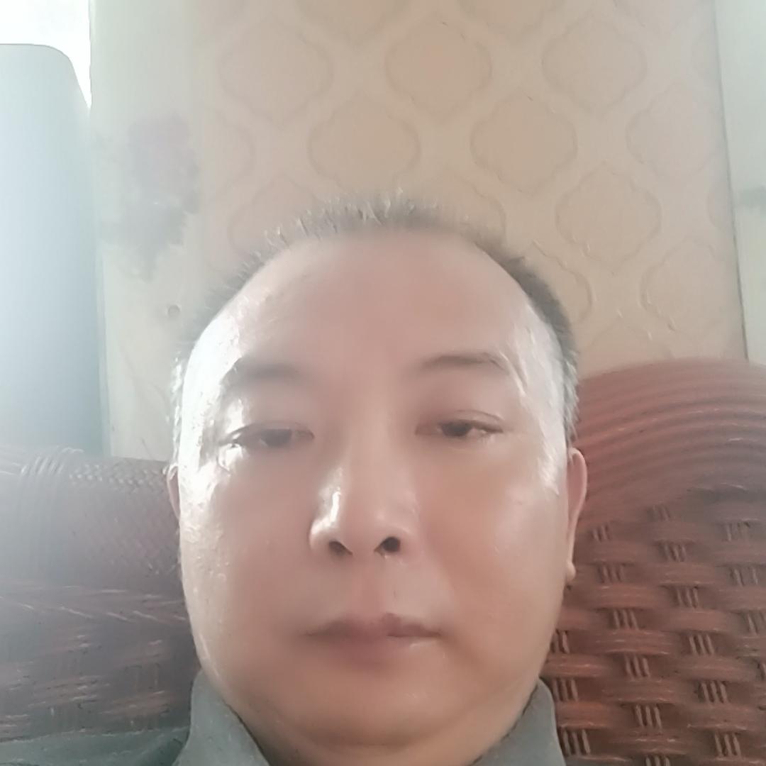 真情在何处