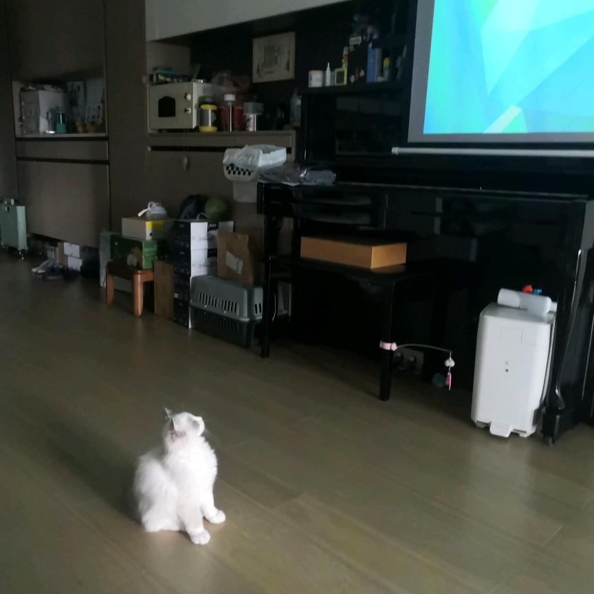 刘姐