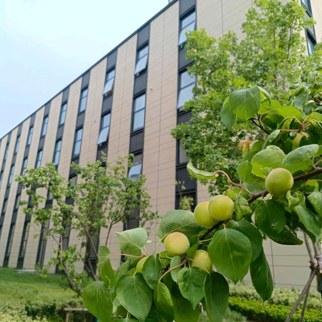 优简云企业选址咨询