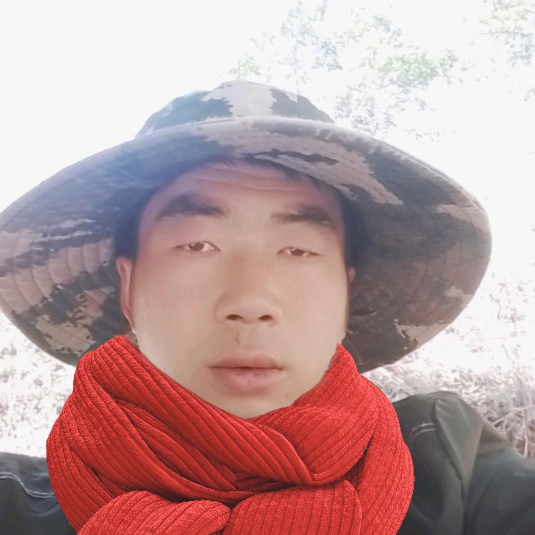 吳🌻淋