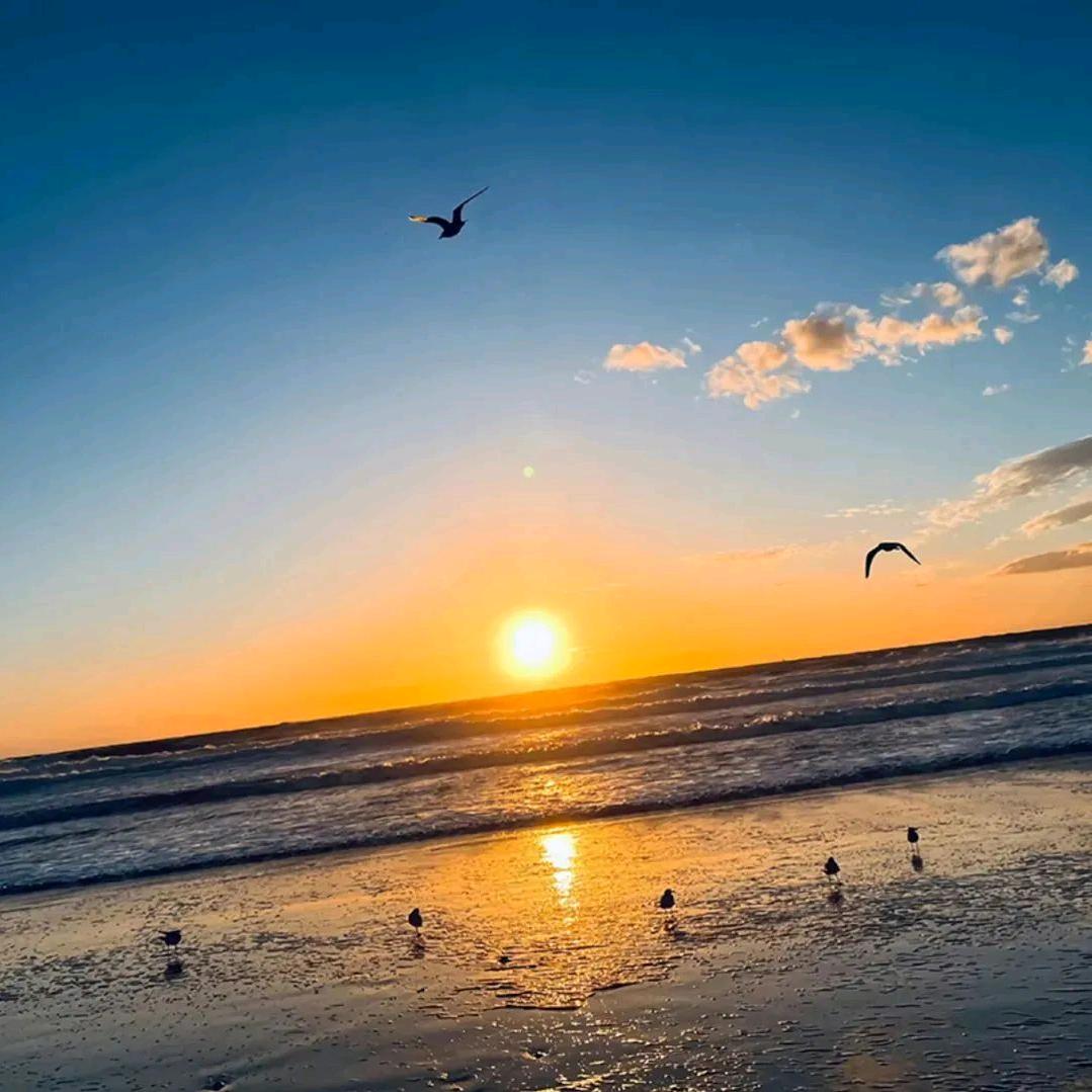 苏州沁享辰（线束加工）