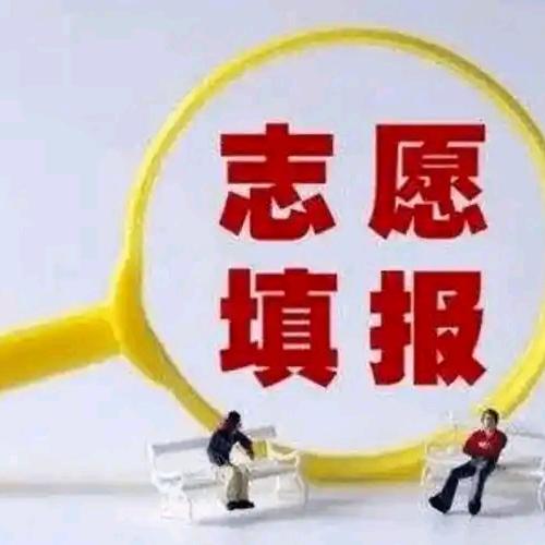 高考志愿填报咨询